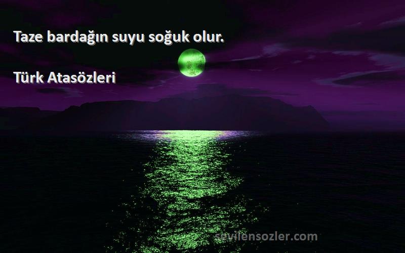 Türk Atasözleri - Taze bardağın suyu soğuk olur.