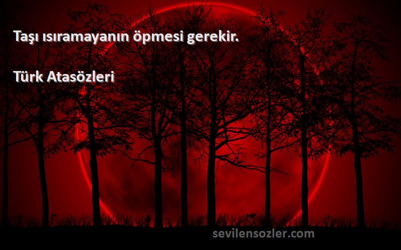 Türk Atasözleri - Taşı ısıramayanın öpmesi gerekir.