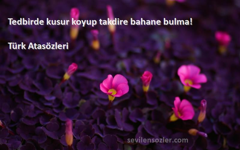 Türk Atasözleri - Tedbirde kusur koyup takdire bahane bulma!