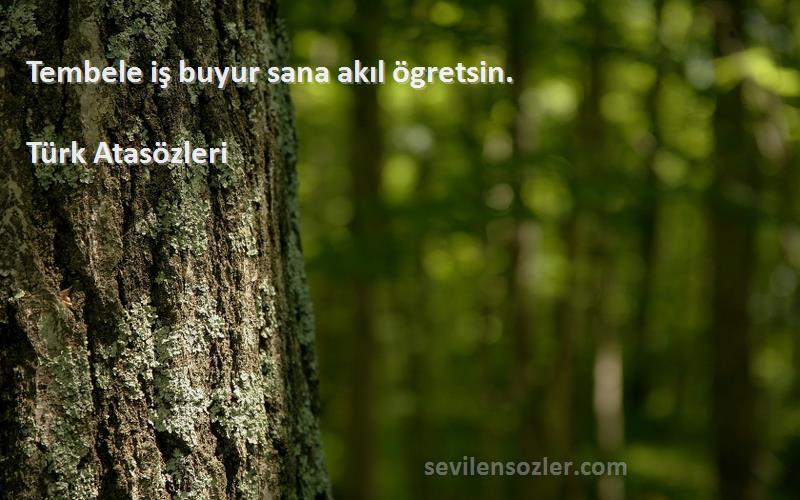 Türk Atasözleri - Tembele iş buyur sana akıl ögretsin.