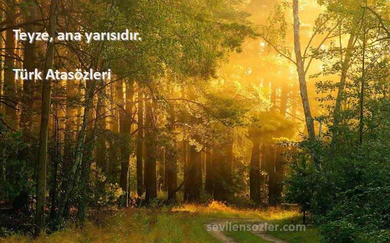 Türk Atasözleri - Teyze, ana yarısıdır.