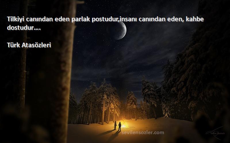 Türk Atasözleri - Tilkiyi canından eden parlak postudur,insanı canından eden, kahbe dostudur….