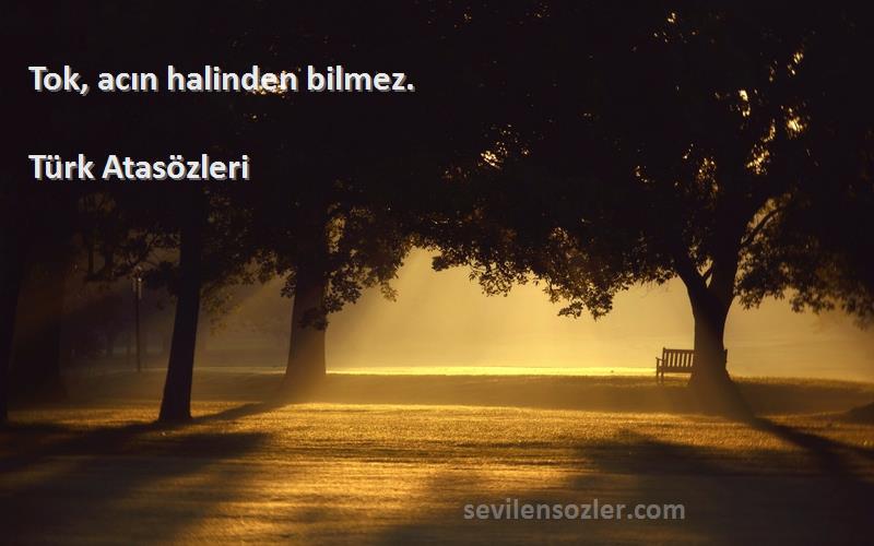 Türk Atasözleri - Tok, acın halinden bilmez.