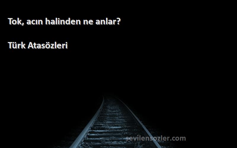 Türk Atasözleri - Tok, acın halinden ne anlar?