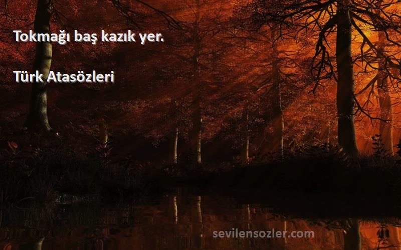 Türk Atasözleri - Tokmağı baş kazık yer.