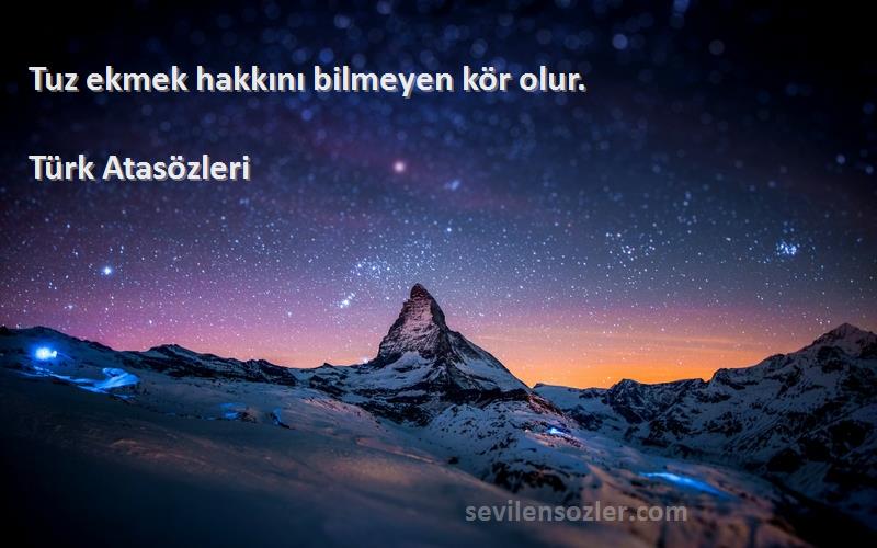 Türk Atasözleri - Tuz ekmek hakkını bilmeyen kör olur.