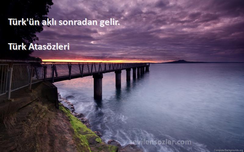 Türk Atasözleri - Türk'ün aklı sonradan gelir.