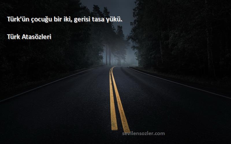 Türk Atasözleri - Türk’ün çocuğu bir iki, gerisi tasa yükü.