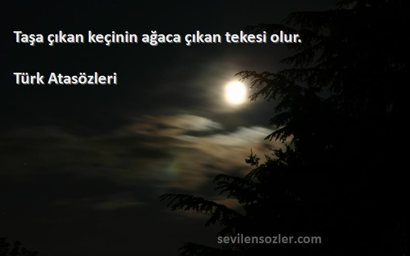 Türk Atasözleri - Taşa çıkan keçinin ağaca çıkan tekesi olur.