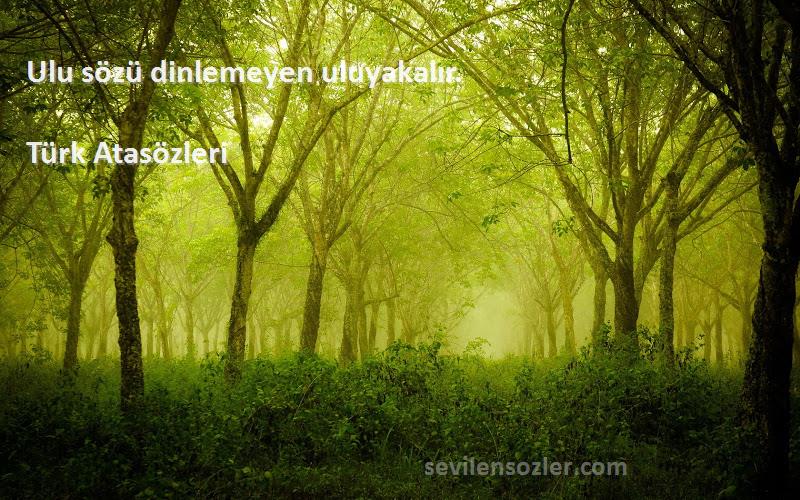 Türk Atasözleri - Ulu sözü dinlemeyen uluyakalır.