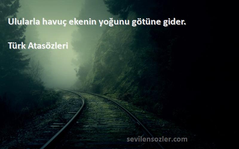 Türk Atasözleri - Ulularla havuç ekenin yoğunu götüne gider.