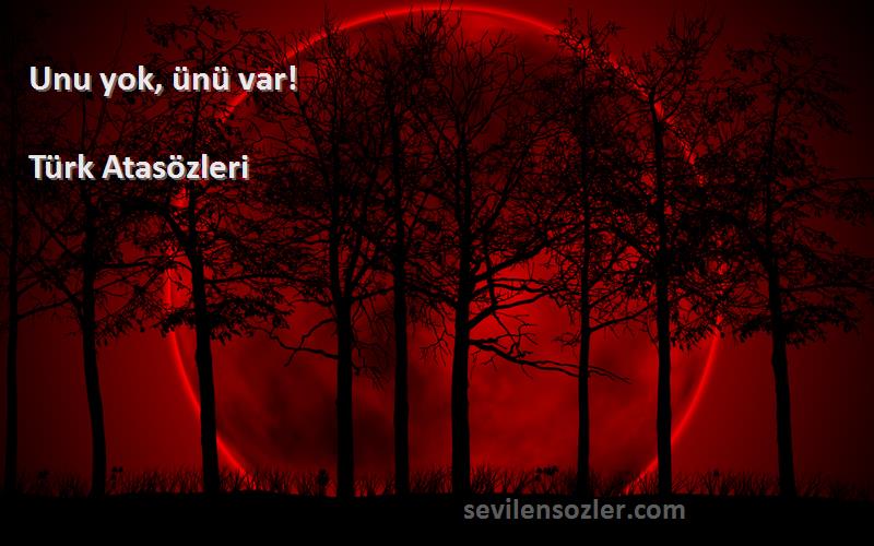 Türk Atasözleri - Unu yok, ünü var!