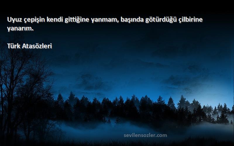 Türk Atasözleri - Uyuz çepişin kendi gittiğine yanmam, başında götürdüğü çilbirine yanarım.