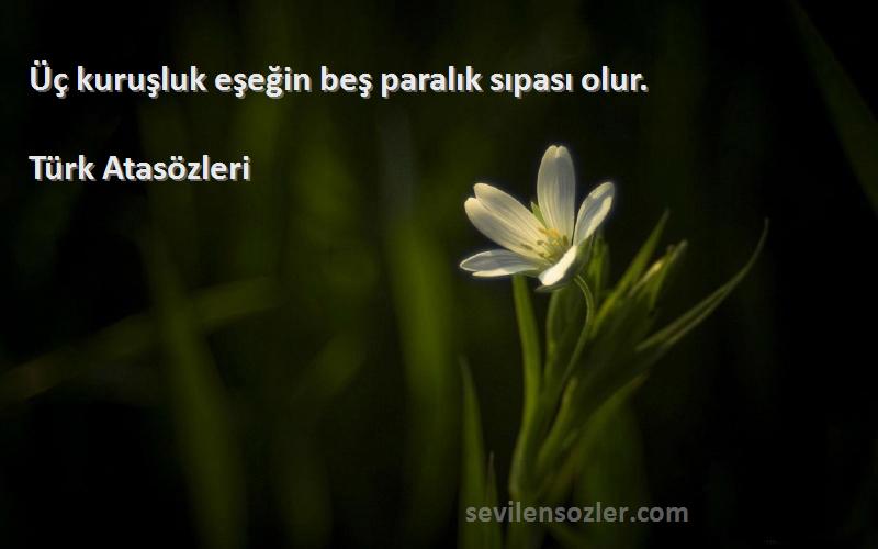 Türk Atasözleri - Üç kuruşluk eşeğin beş paralık sıpası olur.