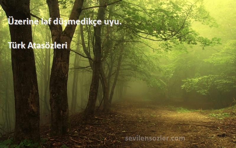 Türk Atasözleri - Üzerine laf düşmedikçe uyu.