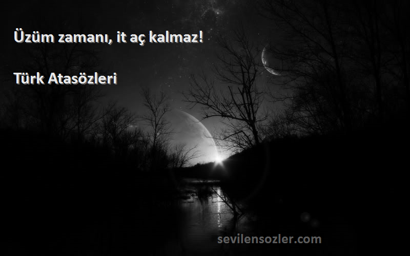 Türk Atasözleri - Üzüm zamanı, it aç kalmaz!