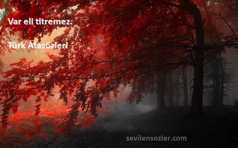 Türk Atasözleri - Var eli titremez.