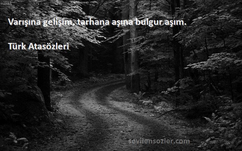 Türk Atasözleri - Varışına gelişim, tarhana aşına bulgur aşım.