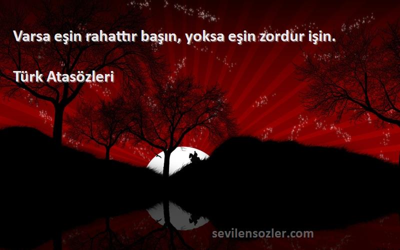 Türk Atasözleri - Varsa eşin rahattır başın, yoksa eşin zordur işin.