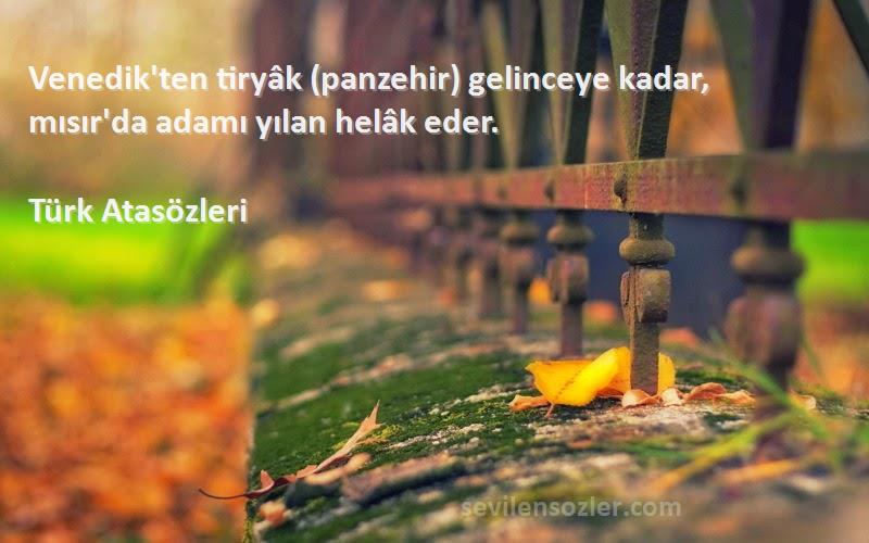 Türk Atasözleri - Venedik'ten tiryâk (panzehir) gelinceye kadar, mısır'da adamı yılan helâk eder.