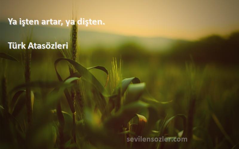 Türk Atasözleri - Ya işten artar, ya dişten.