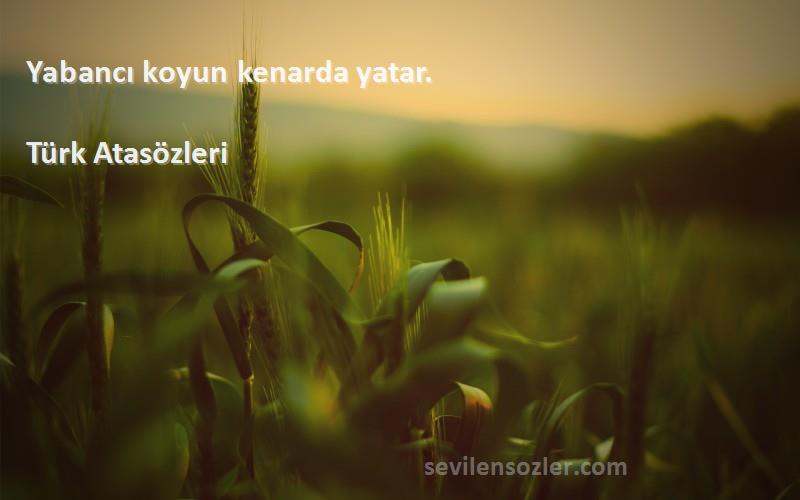 Türk Atasözleri - Yabancı koyun kenarda yatar.