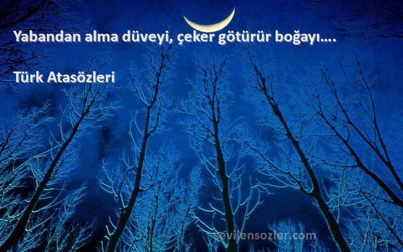 Türk Atasözleri - Yabandan alma düveyi, çeker götürür boğayı….