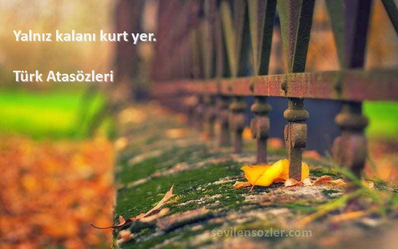 Türk Atasözleri - Yalnız kalanı kurt yer.