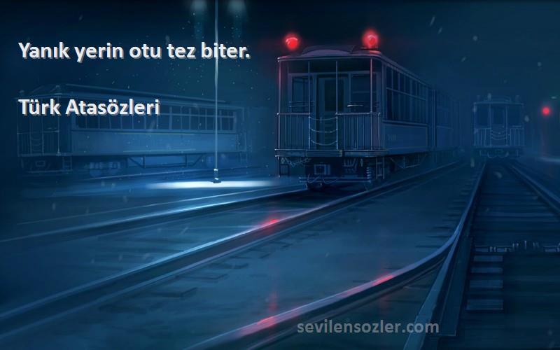 Türk Atasözleri - Yanık yerin otu tez biter.