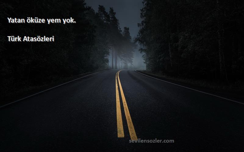 Türk Atasözleri - Yatan öküze yem yok.