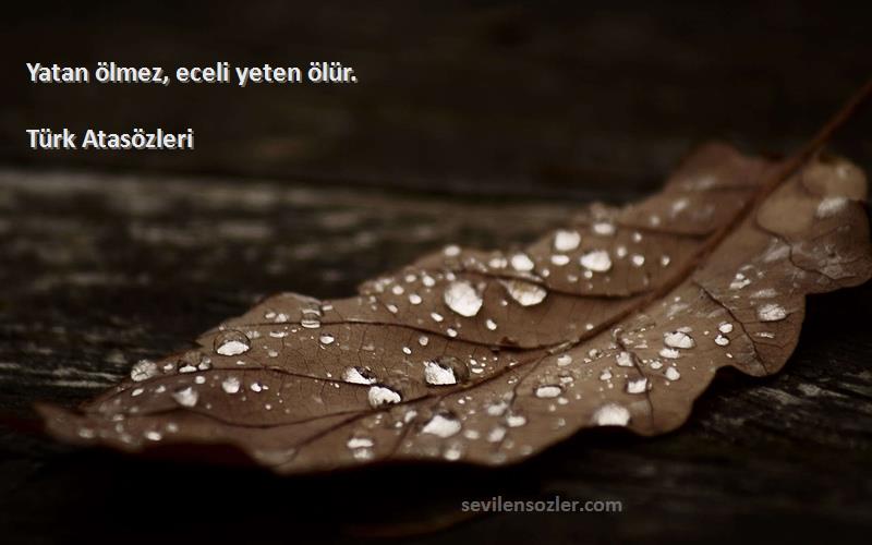 Türk Atasözleri - Yatan ölmez, eceli yeten ölür.