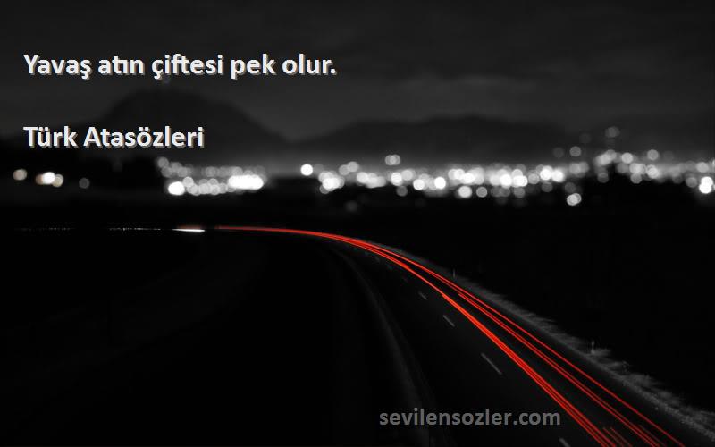 Türk Atasözleri - Yavaş atın çiftesi pek olur.