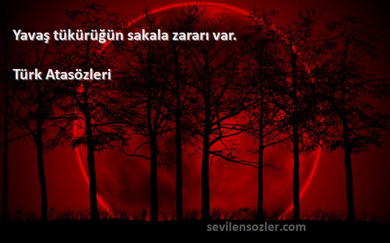 Türk Atasözleri - Yavaş tükürüğün sakala zararı var.