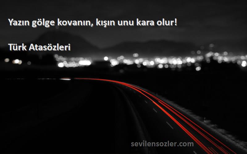 Türk Atasözleri - Yazın gölge kovanın, kışın unu kara olur!