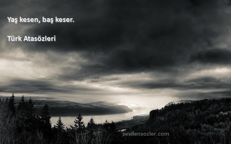 Türk Atasözleri - Yaş kesen, baş keser.