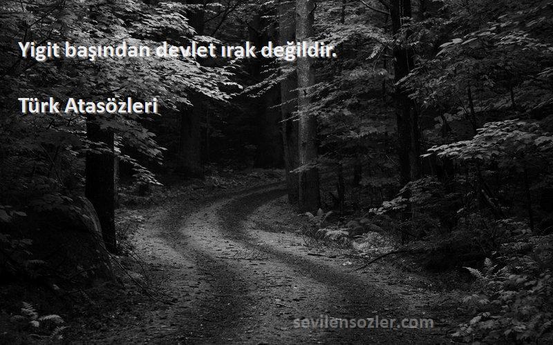 Türk Atasözleri - Yigit başından devlet ırak değildir.