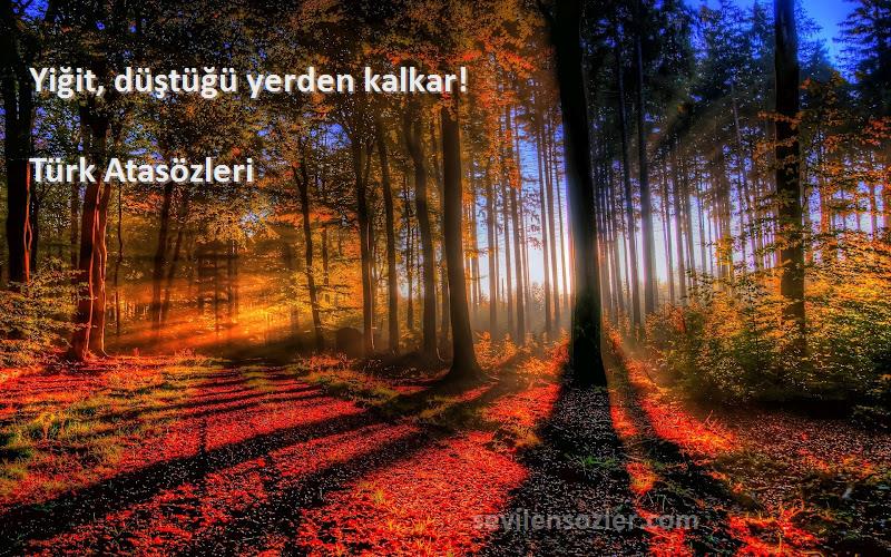 Türk Atasözleri - Yiğit, düştüğü yerden kalkar!