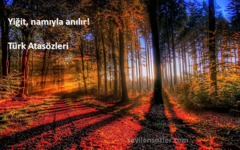 Türk Atasözleri - Yiğit, namıyla anılır!