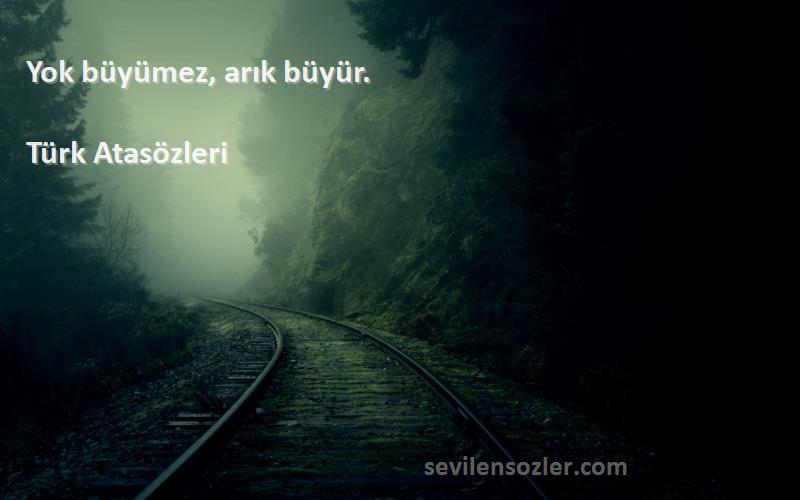 Türk Atasözleri - Yok büyümez, arık büyür.