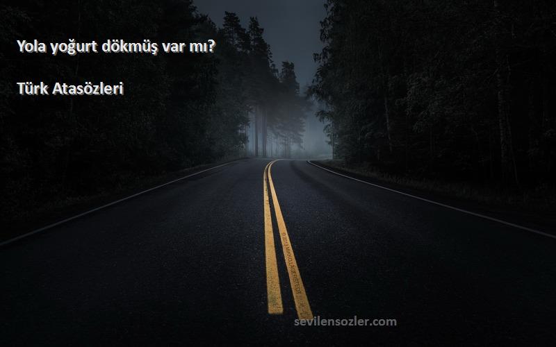 Türk Atasözleri - Yola yoğurt dökmüş var mı?