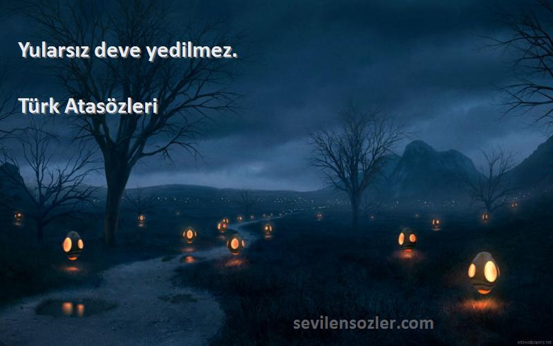 Türk Atasözleri - Yularsız deve yedilmez.