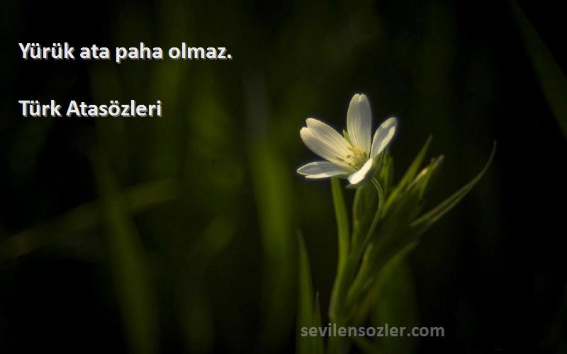 Türk Atasözleri - Yürük ata paha olmaz.