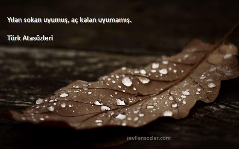 Türk Atasözleri - Yılan sokan uyumuş, aç kalan uyumamış.