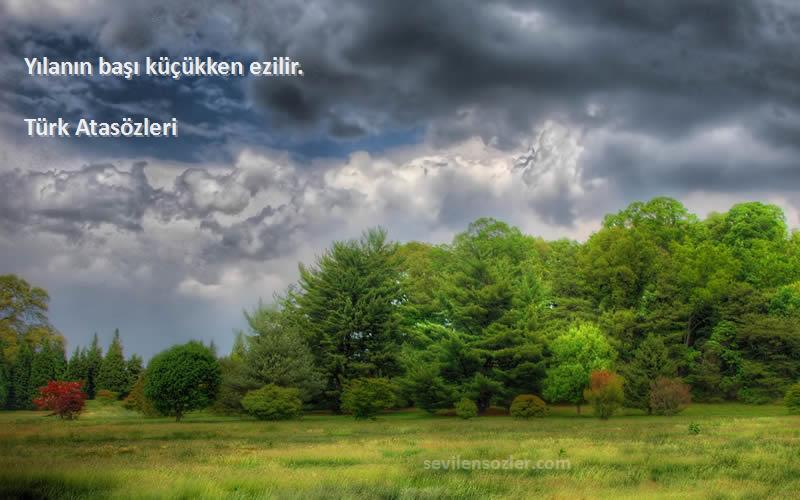 Türk Atasözleri Sözleri 
Yılanın başı küçükken ezilir.