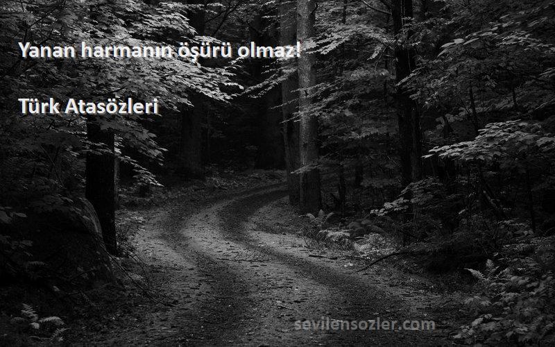 Türk Atasözleri - Yanan harmanın öşürü olmaz!