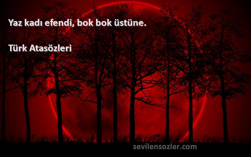 Türk Atasözleri - Yaz kadı efendi, bok bok üstüne.