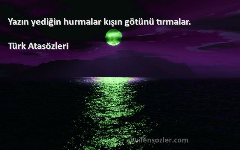 Türk Atasözleri Sözleri 
Yazın yediğin hurmalar kışın götünü tırmalar.