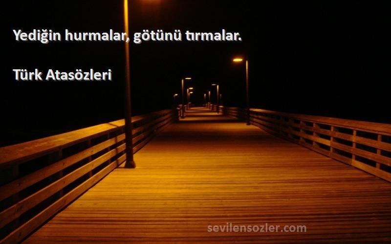 Türk Atasözleri - Yediğin hurmalar, götünü tırmalar.