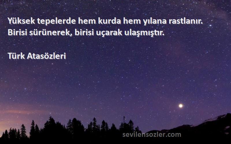 Türk Atasözleri - Yüksek tepelerde hem kurda hem yılana rastlanır. Birisi sürünerek, birisi uçarak ulaşmıştır.