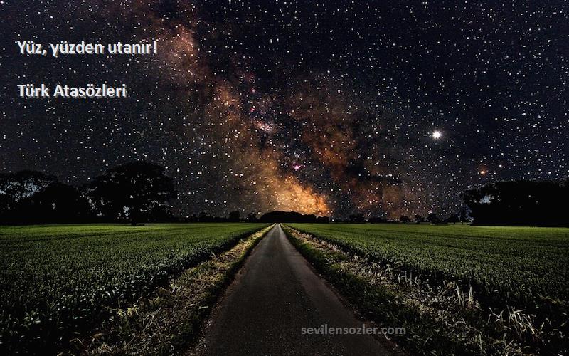 Türk Atasözleri - Yüz, yüzden utanır!